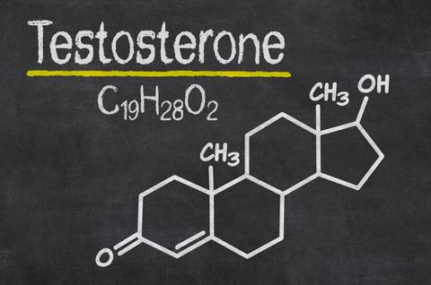 What Is Testosterone? What Do Testosterone Boosters Do? - Nutra Botanics