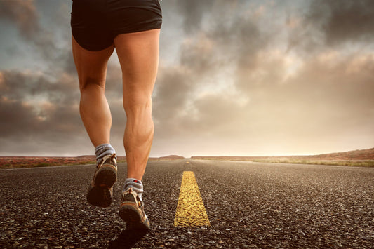 L-Carnitine Benefits