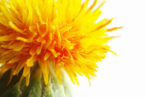 The Side Effects of CLA Safflower Oil
