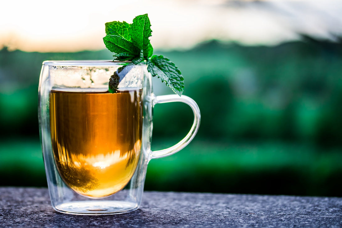Green Tea: Does It Really Burn Fat?